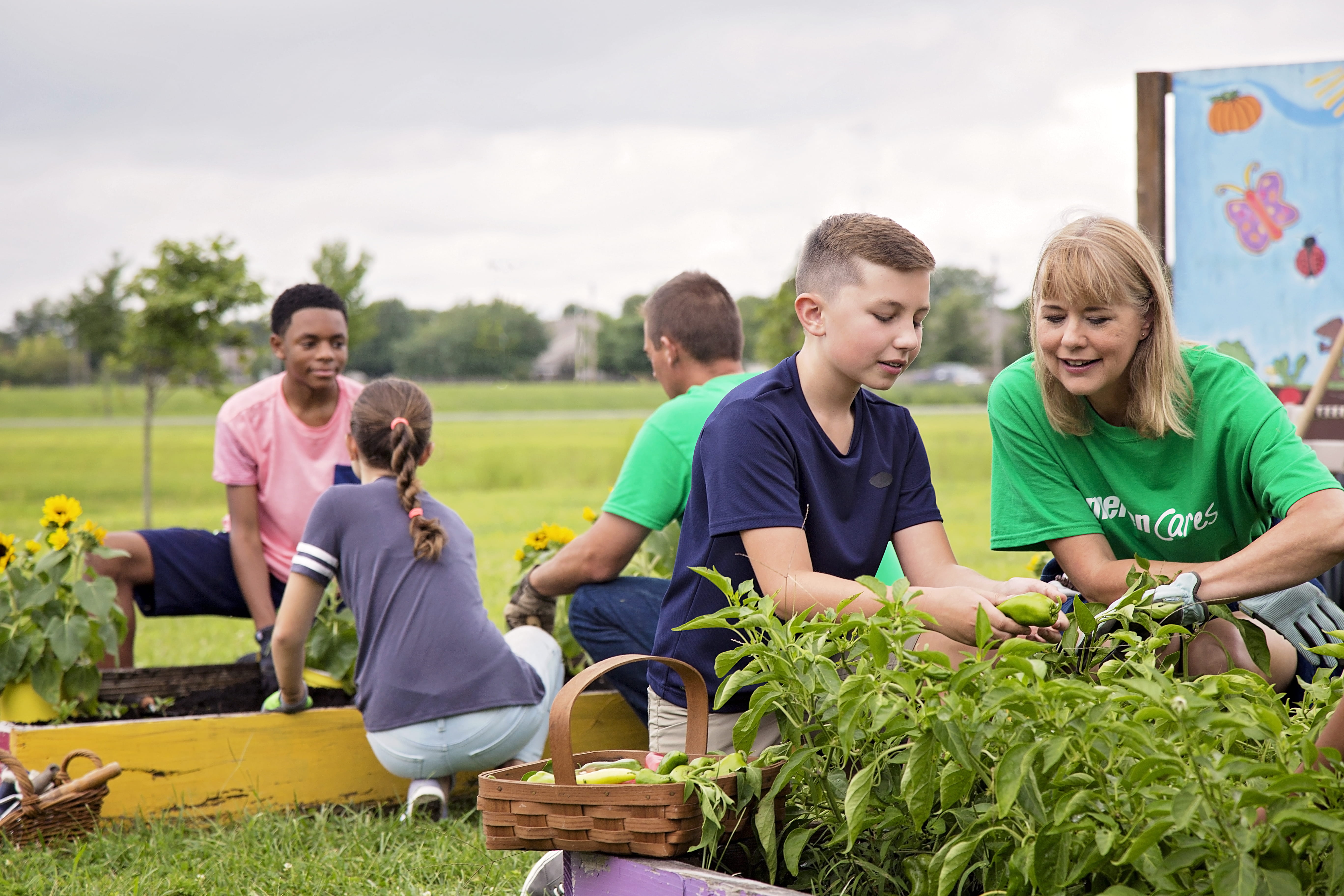Empowering Illinois Ameren Illinois
