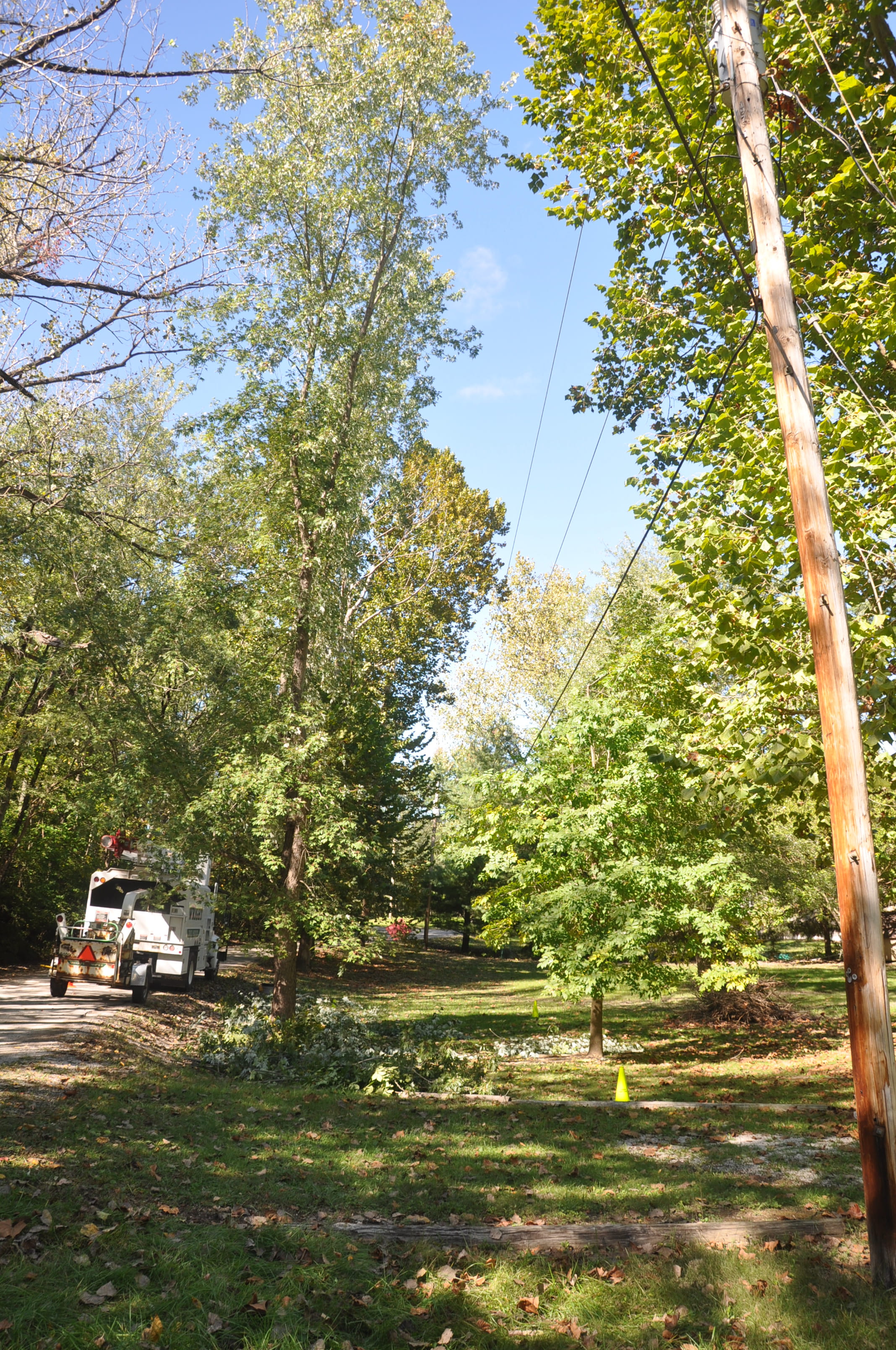 why-we-trim-trees-ameren-illinois