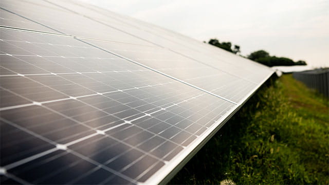 Solar panels in a field. 