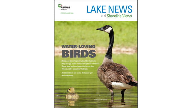 Lake news 2023. 