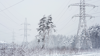Power lines and trees in a winter storm. 