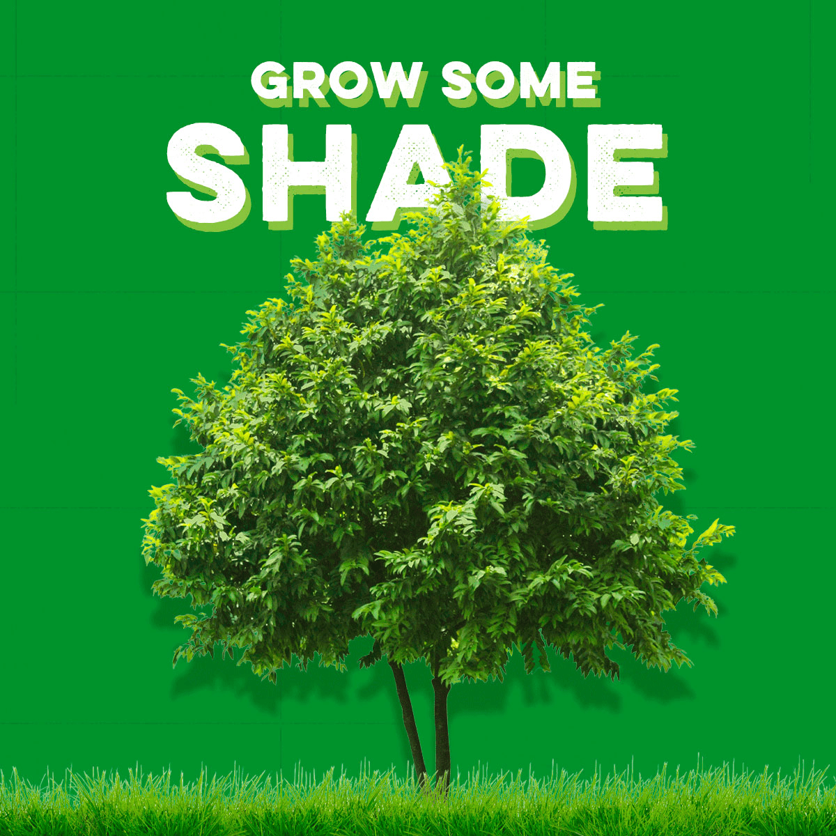 grow some shade