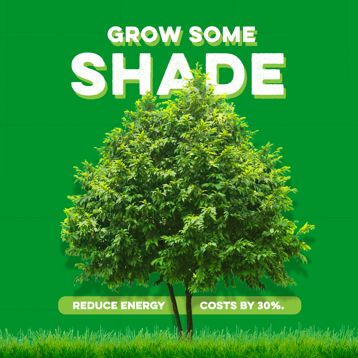 grow some shade