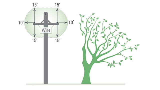 Pershall Project tree trimming diagram