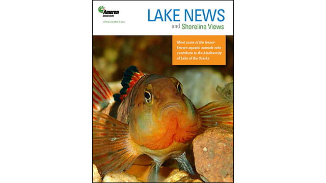 Lake News 2024 cover